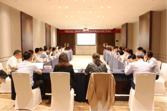 中国石油和化工勘察设计协会工艺系统设计专业委员会2025年工作会议（第四届）圆满召开